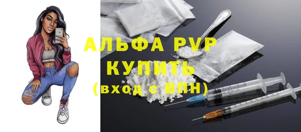 ECSTASY Гусев