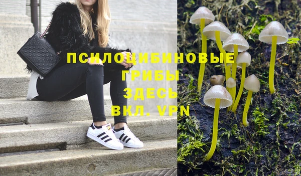 ECSTASY Гусев