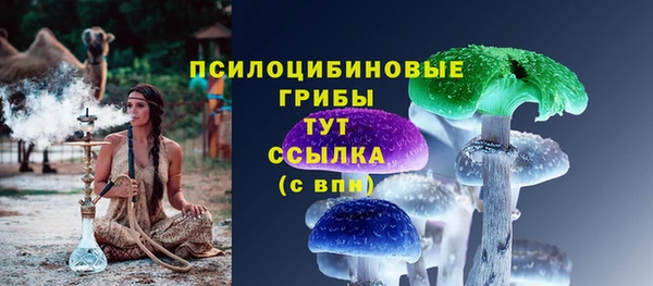 ECSTASY Гусев
