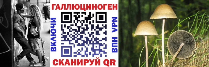 где продают наркотики  Берёзовка  Галлюциногенные грибы Cubensis 